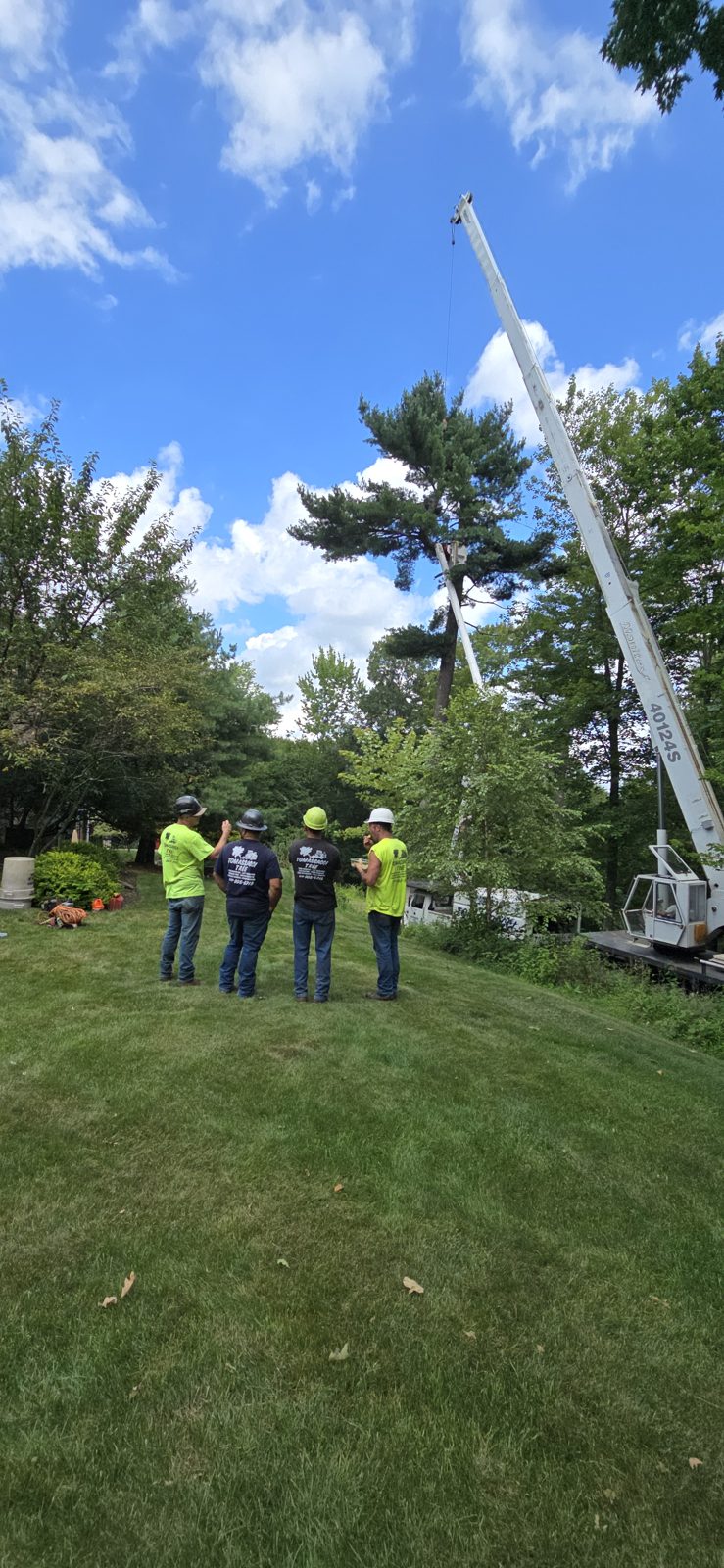 Crew talking through the lift plan on the ground before the pick.